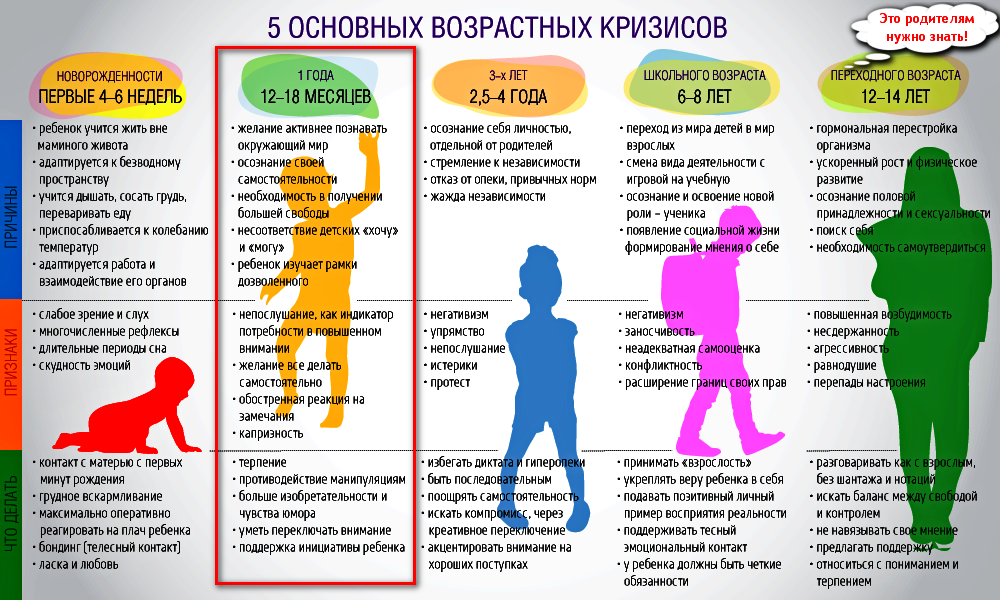 Что лучше: снимать жилье, или жить с родителями и копить? 3 совета психологов, консультации