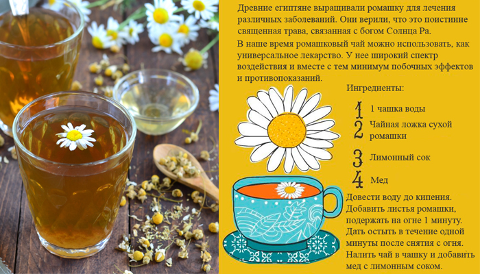 7 полезных для организма свойств чая из ромашки. вред