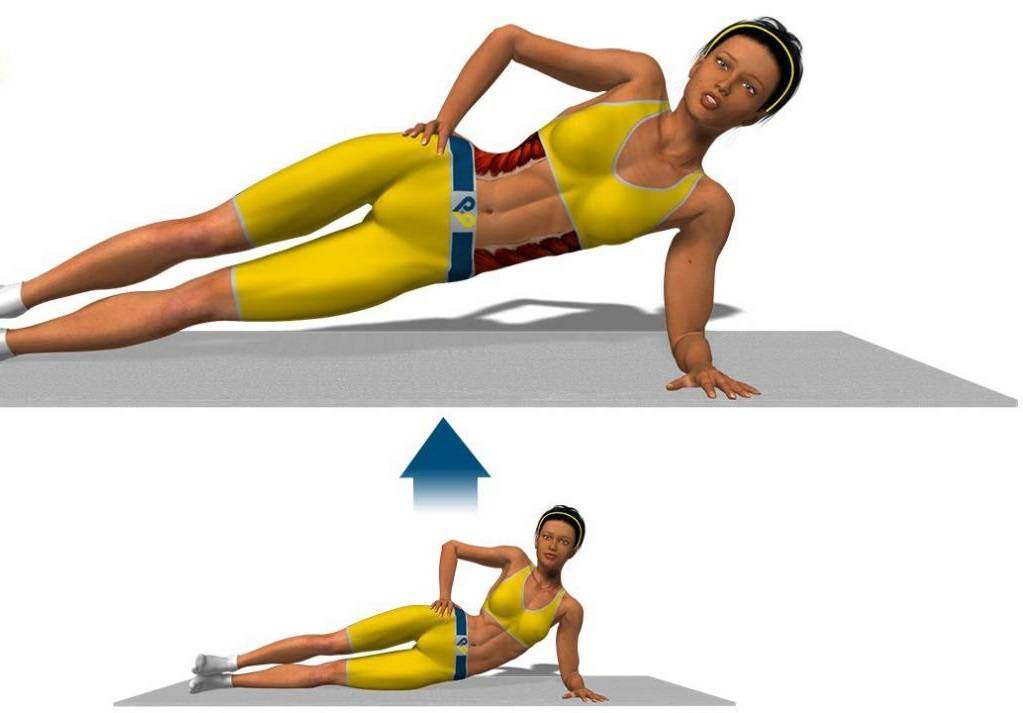 Эффективные упражнения для прямой мышцы живота