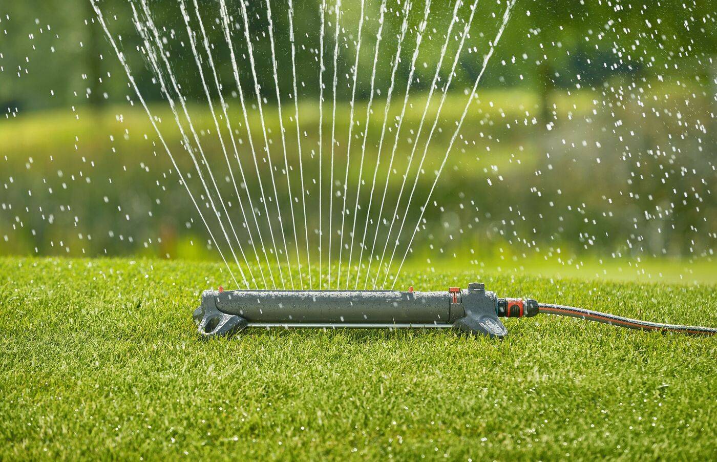 Как выбрать дождеватели для полива огорода: описание и виды основных устройств