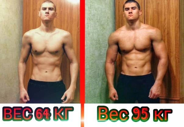 Увеличь мышцы! научно обоснованные решения для максимального мышечного роста