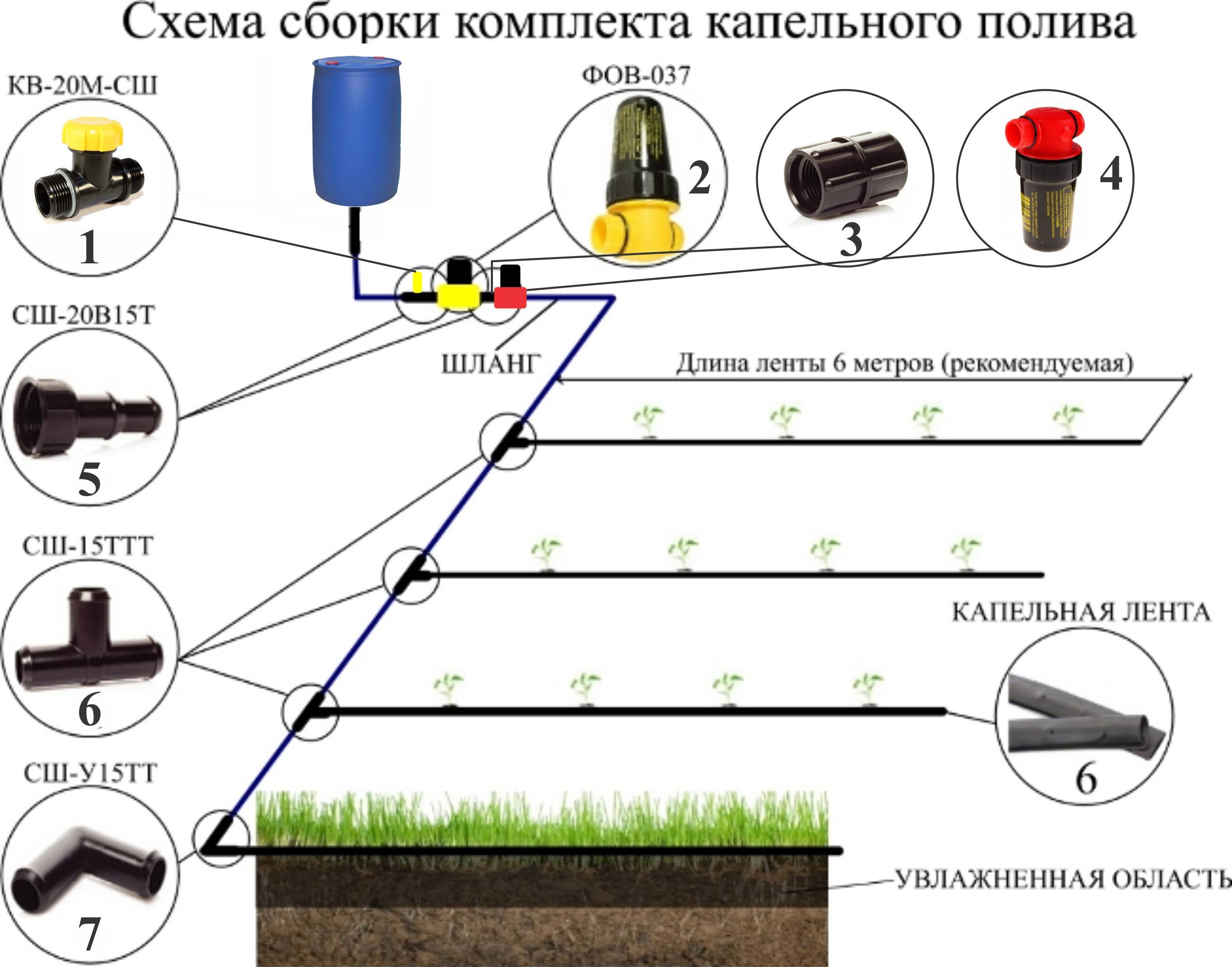 Не стоять со шлангом и не таскать лейку: как сделать полив самотёком