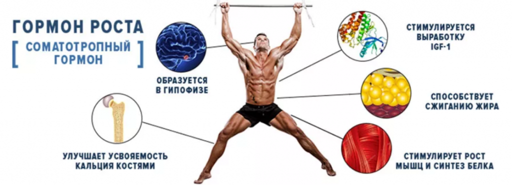 Увеличь мышцы! научно обоснованные решения для максимального мышечного роста