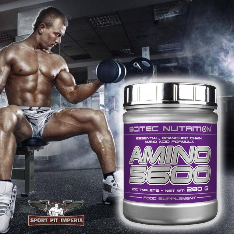 Amino 5600, аминокислоты 200 таб | scitec nutrition, сайтек нутришен| кэшбэк + 3-5%