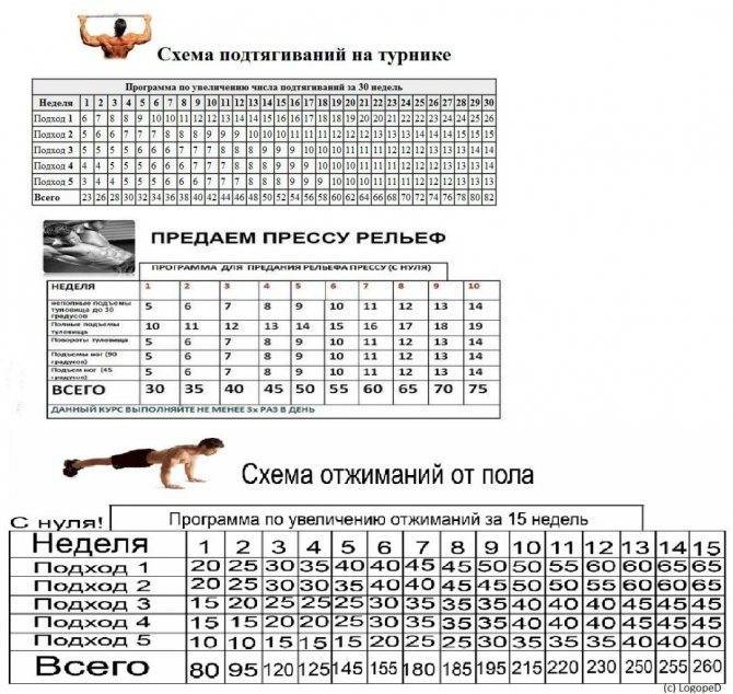 Схемы подтягиваний | turnik-men.ru - турник, турникмен, упражнения на турнике