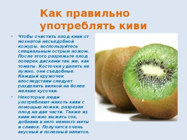 Киви фрукт — полезные свойства и противопоказания, вред для организма ????