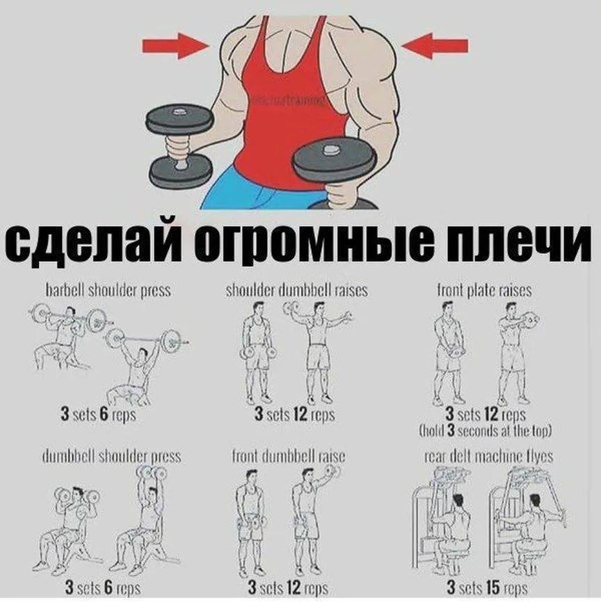 Программа тренировок на плечи в тренажерном зале - tony.ru
