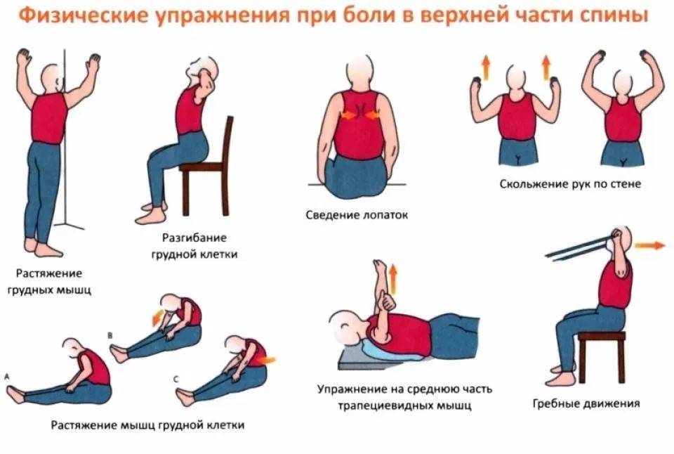 Лечебная физкультура и гимнастика при остеохондрозе: комплексы упражнений для лечения болезни