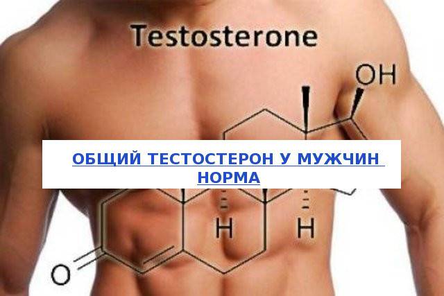Тестостерон общий