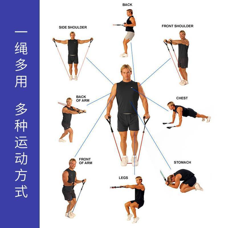 Резиновый жгут и эспандер: упражнения, преимущества спортивных жгутов и тренировки для мужчин и женщин