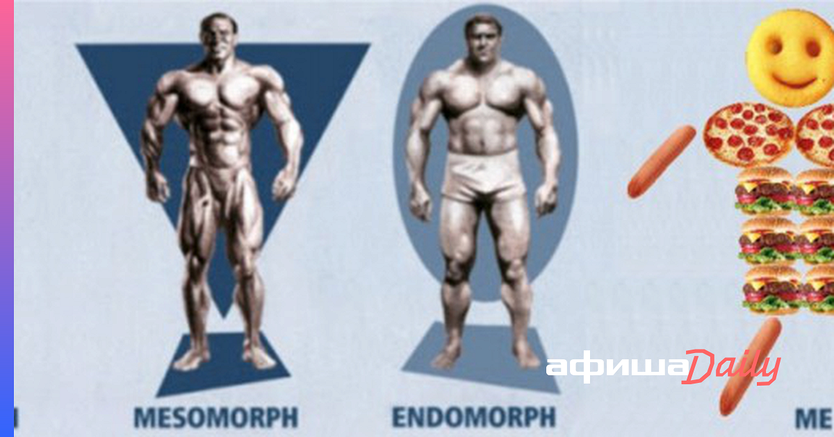 Кто ты: эндоморф, мезоморф или эктоморф?