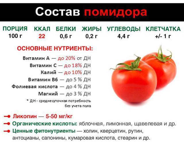Сколько калорий в огурцах и помидорах и в салате из данных овощей — рецепты, ингредиенты, приготовление, фото, видео