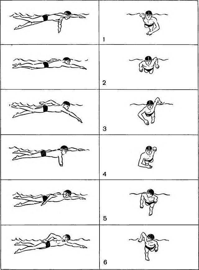 Как научиться правильно плавать кролем на груди начинающему самостоятельно