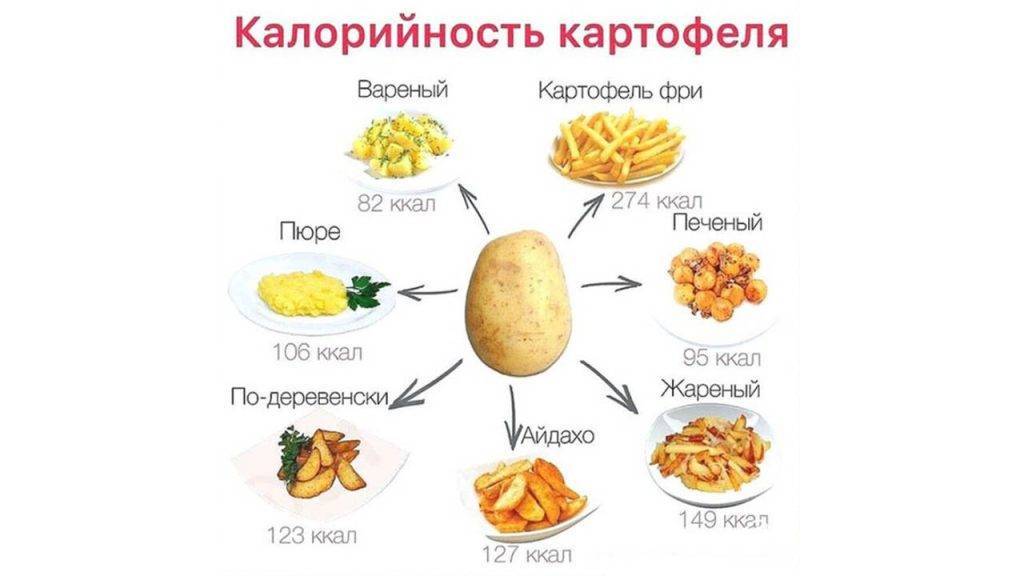 Вареная картошка калорийность — похудение