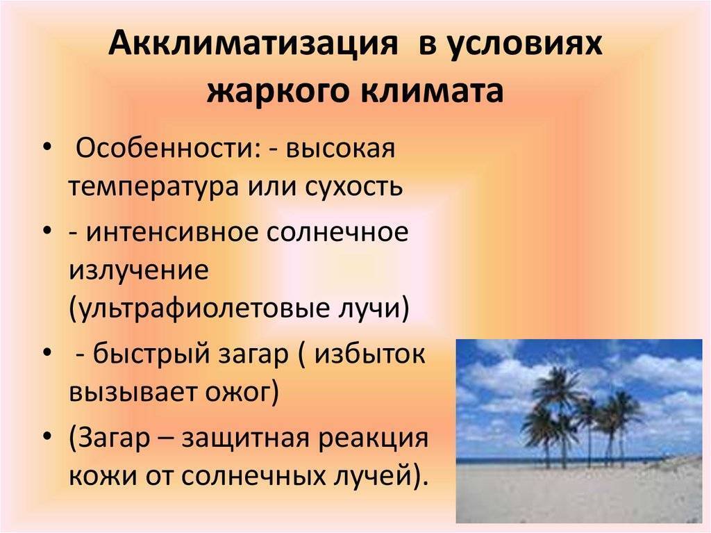 Жаркого климата влажного. Акклиматизация в условиях жаркого климата. Акклиматизация в жарких условиях. Акклиматизация в жарком и холодном климате. Акклиматизация в условиях холодного климата.