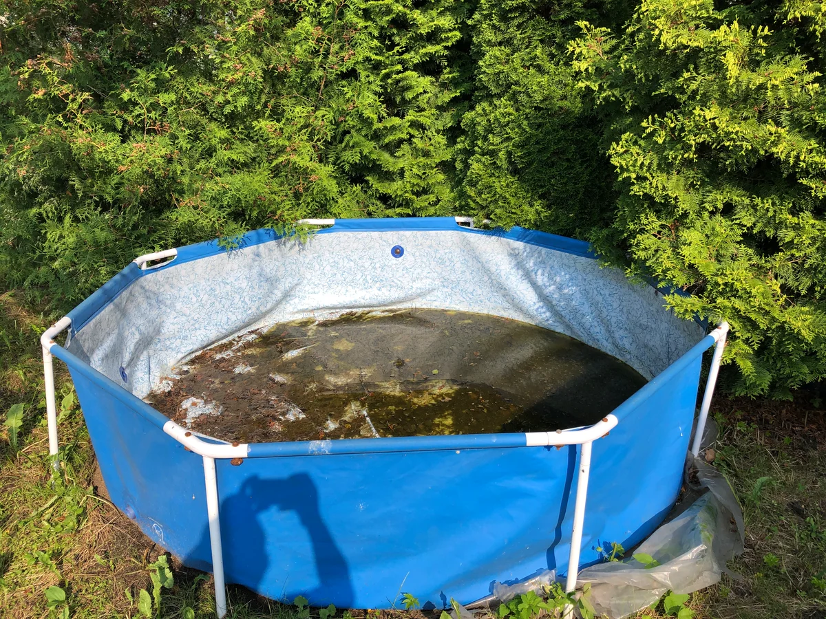 Как почистить бассейн от зелени и других загрязнений