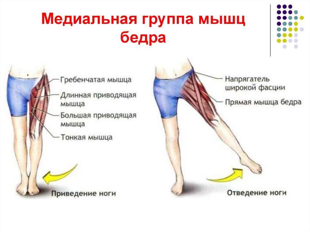Дисфункция мышц тазового дна