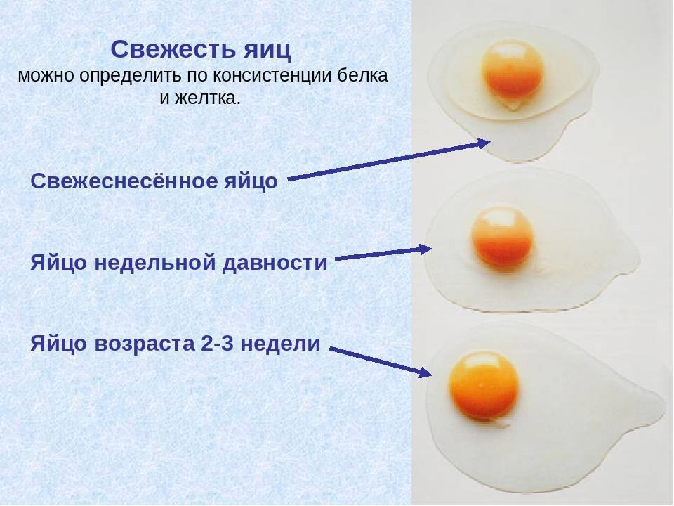 Как отделить желток яйца от белка: более 15 способов и приспособлений + фото и видео | sovetguru