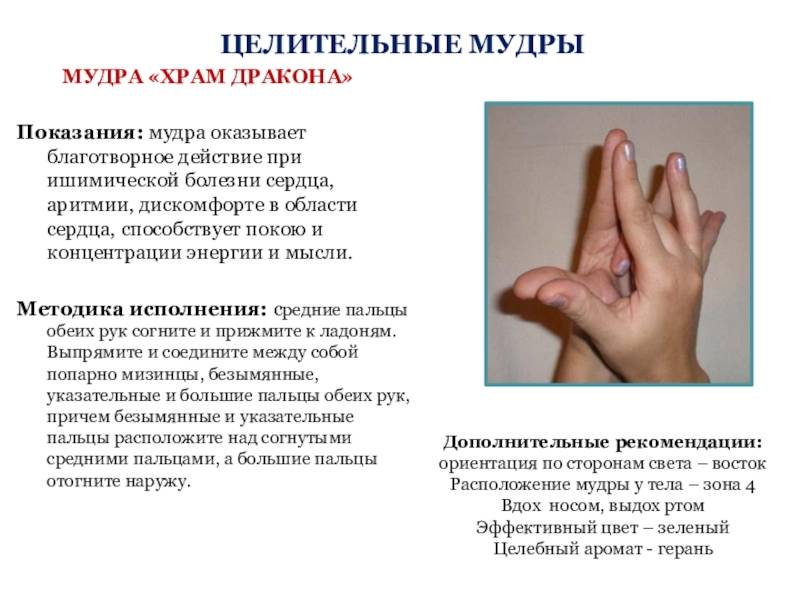 Мудра - ритуальное положение рук. обзор методик практики