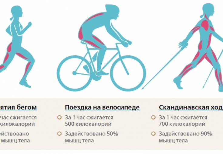 Можно ли похудеть, катаясь на велосипеде: польза и правила езды