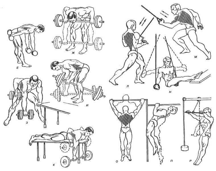 Тренировка спины в домашних условиях: комплекс упражнений для укрепления мышц без тренажеров
