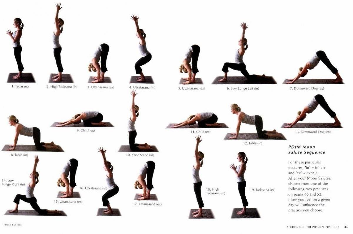 Хатха-йога для начинающих: йога утром
