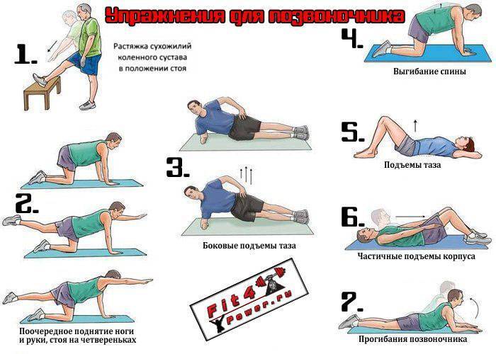 Топ-10 упражнений для укрепления поясничных мышц и оздоровления позвоночника