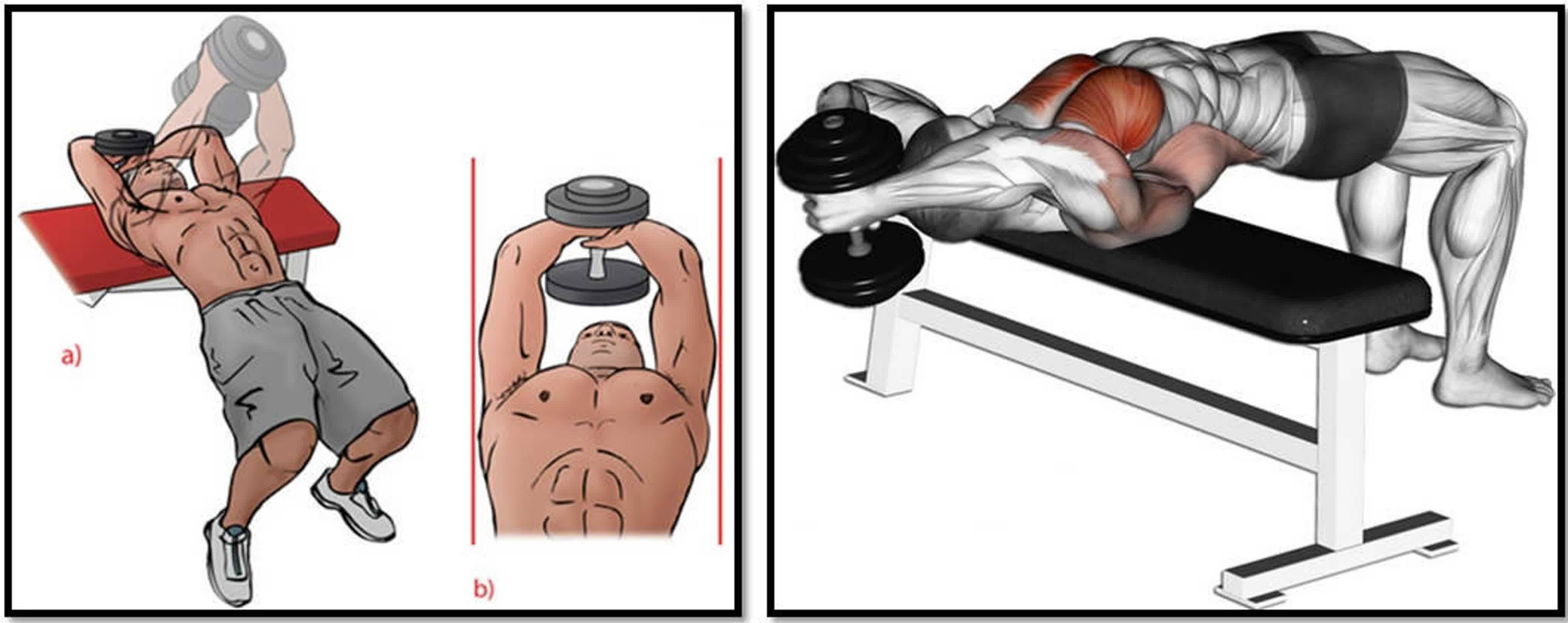 Как дома накачать грудные мышцы – поэтапная инструкция, фото, видео