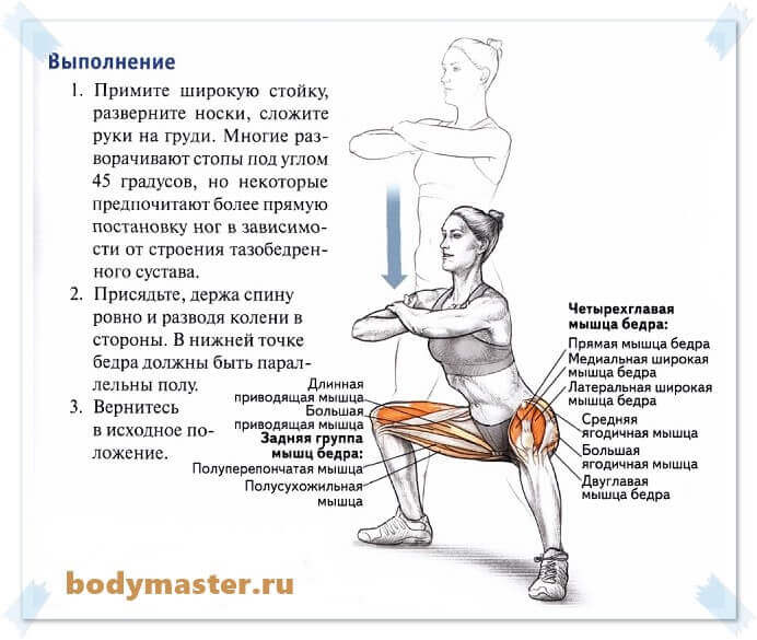 Варианты приседаний с гантелями для мужчин и девушек | rulebody.ru — правила тела