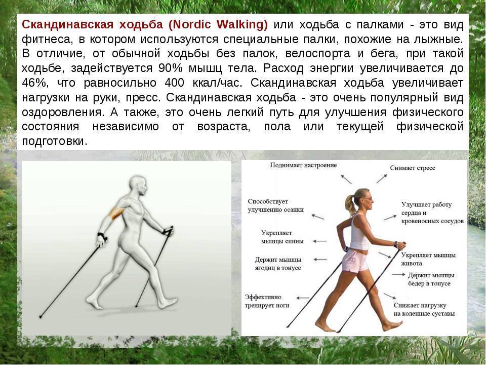 Cкандинавская ходьба с палками: польза и вред, как похудеть, инструкция, видео
