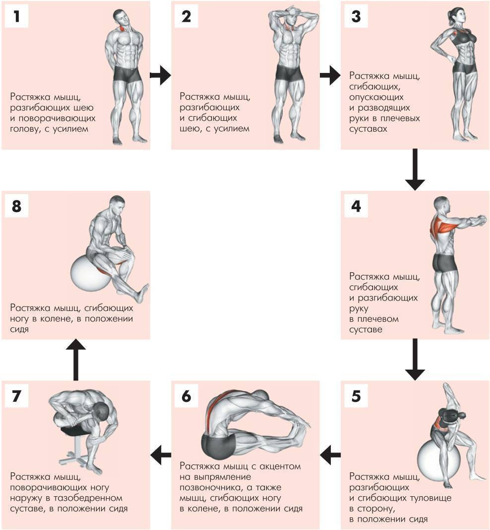 Разминка перед растяжкой: как разогреть мышцы всего тела для безопасного стретчинга