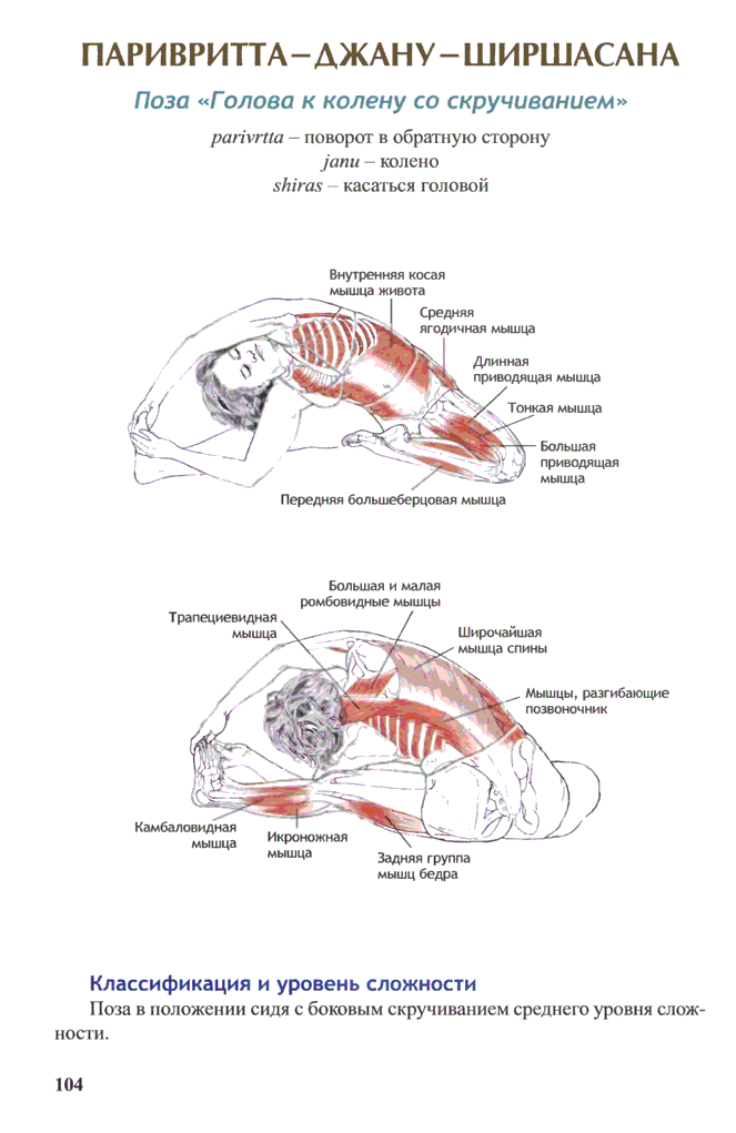Джану ширшасана или поза головы к колену в йоге: техника выполнения, польза, противопоказания