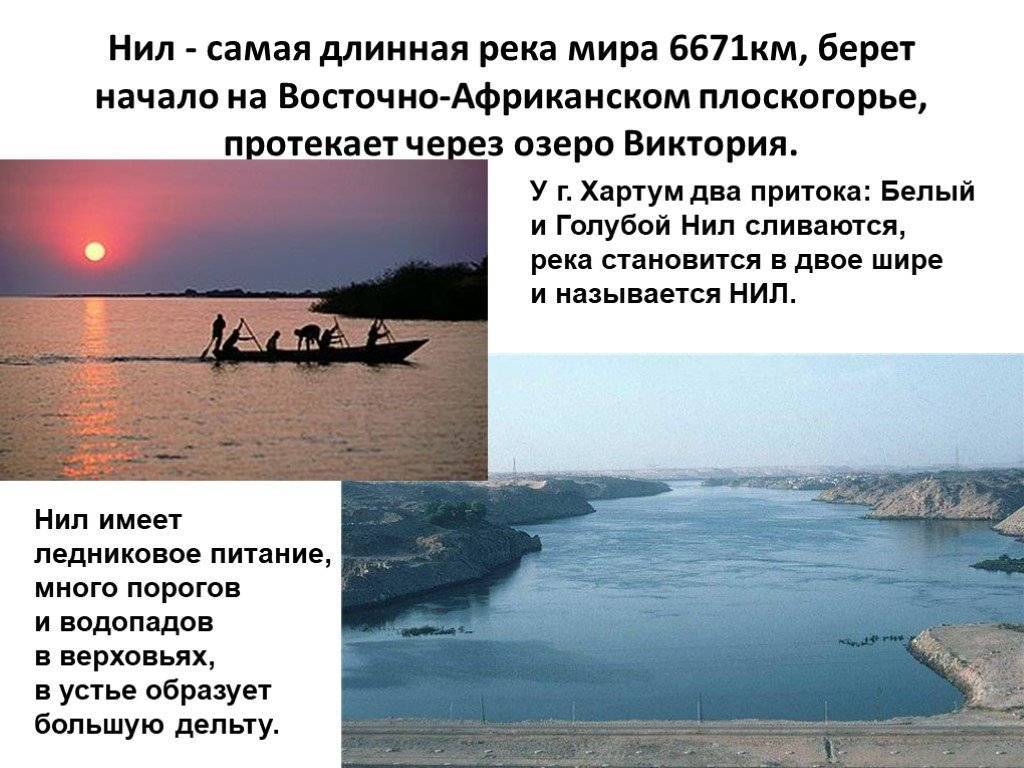 Нил: длина, водный режим, характер течения и хозяйственное значение реки :: syl.ru