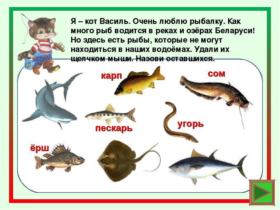 Рыбалка в удмуртской республике. промышленное рыболовство.