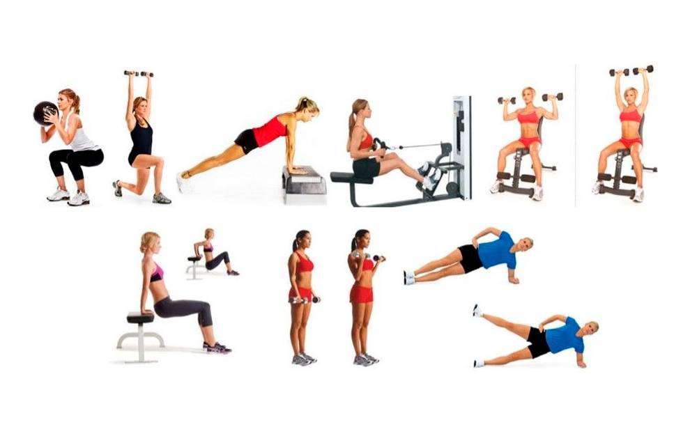 Программа тренировок в тренажерном зале для мужчин: комплекс упражнений на 2 или 3 дня в неделю