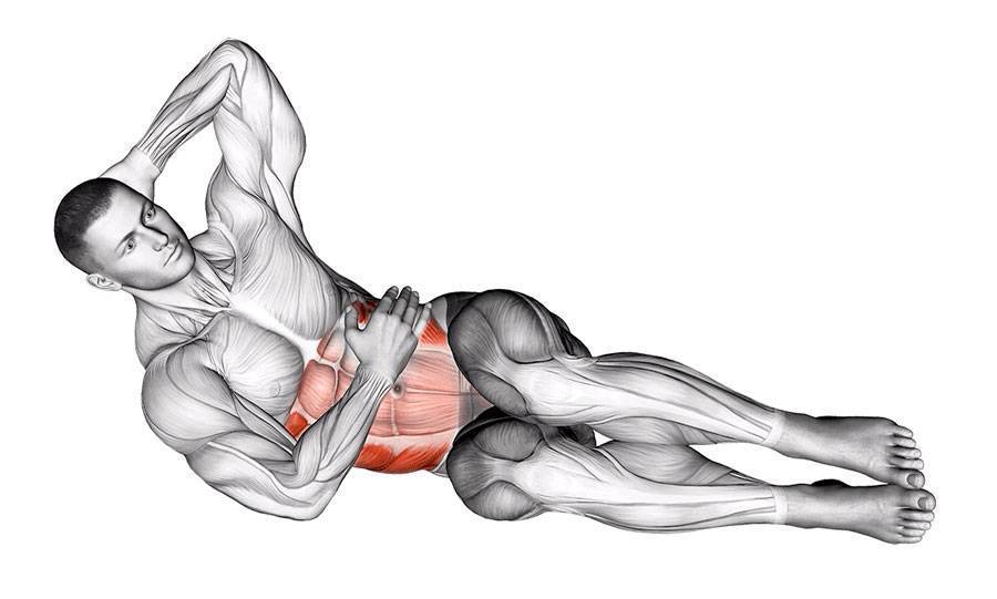 Косые мышцы живота – как накачать наружные мышцы, упражнения, фото, видео