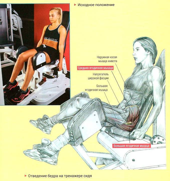 Сведение ног в тренажере: техника выполнения сидя для мужчин и женщин