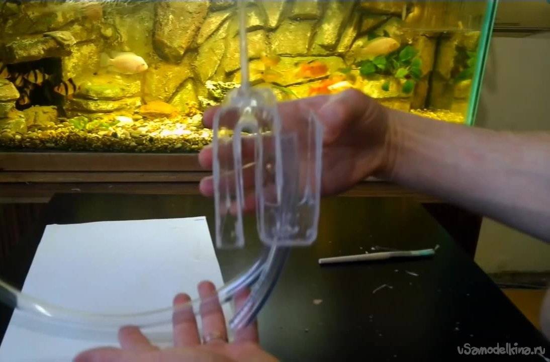 Как легче вылить воду из аквариума, используя резиновый шланг: пошаговая инструкция по откачке