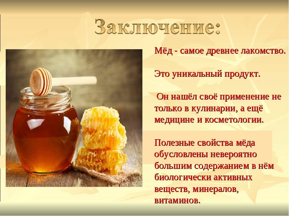 Мед, польза и вред для организма человека