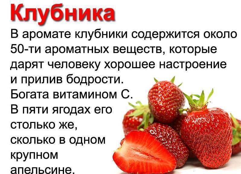 Клубника: польза и вред, полезные свойства, калорийность