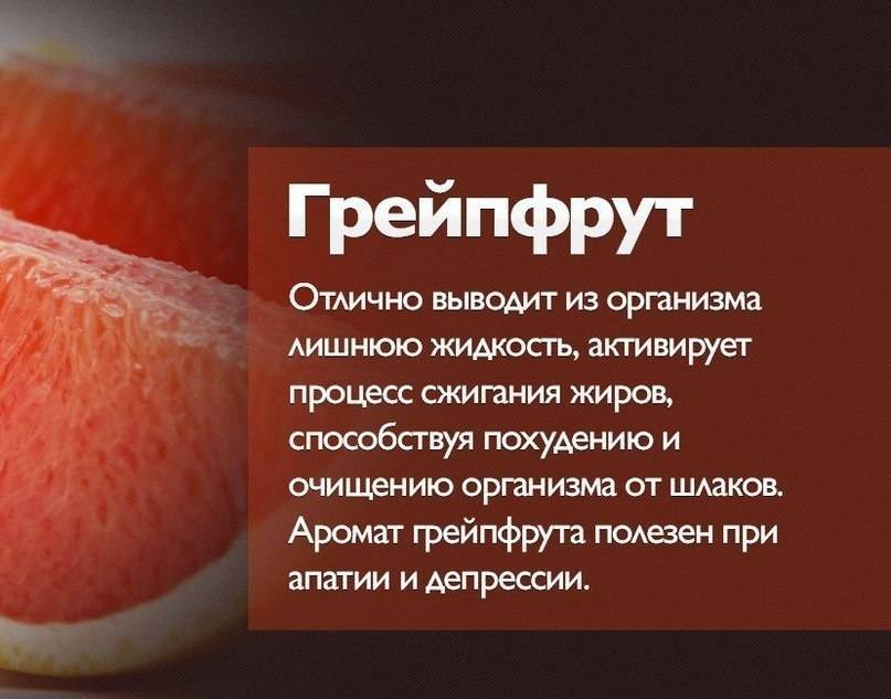 Калорийность грейпфрута, его полезные свойства, описание пользы и вреда