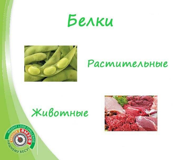 Животные и растительные белки / разбираемся, в чем разница – статья из рубрики "здоровая еда" на food.ru