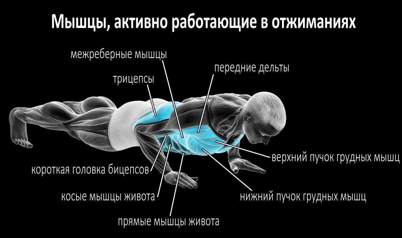 Как накачаться в домашних условиях: упражнения для тренировки мышц дома