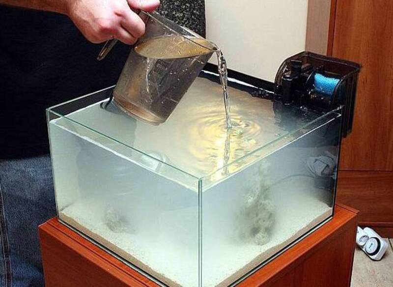 Рекомендации опытных аквариумистов: можно ли заливать родниковую воду в аквариум