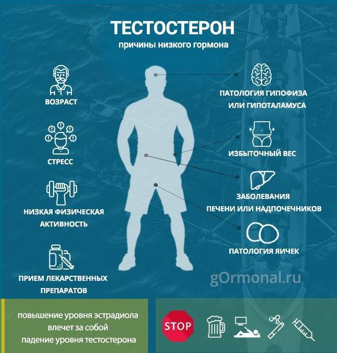 Как повысить тестостерон у мужчин естественным образом: травы, продукты, спорт
 | playboy