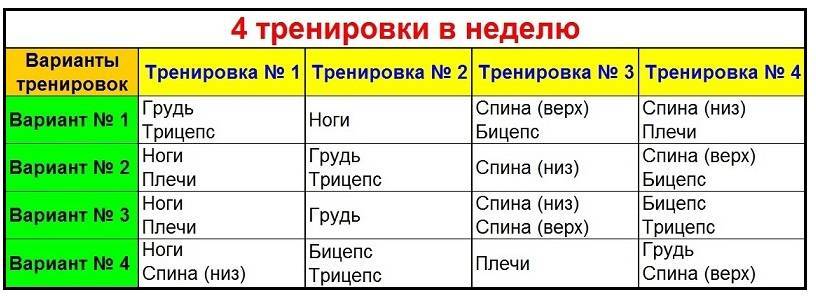 Сколько делать упражнений за тренировку — какие и почему?