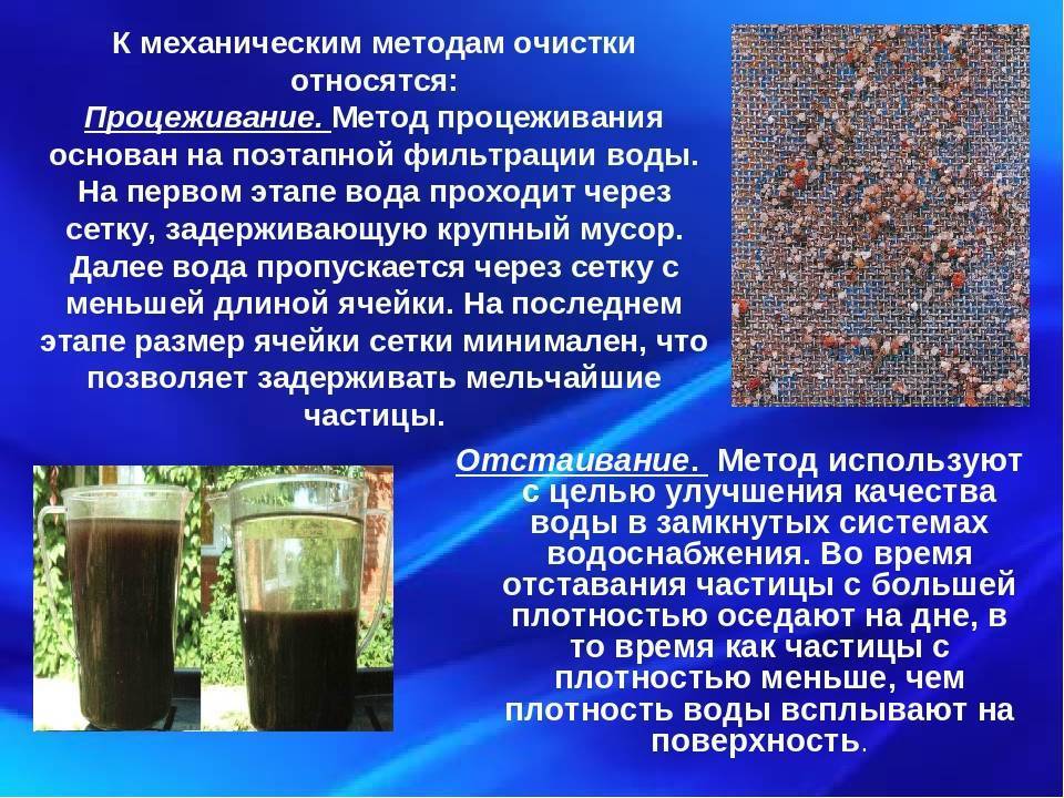 Как очистить бассейн на даче
