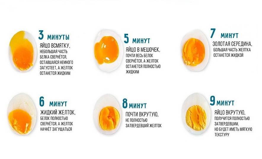 Как правильно сварить яйца :: инфониак
