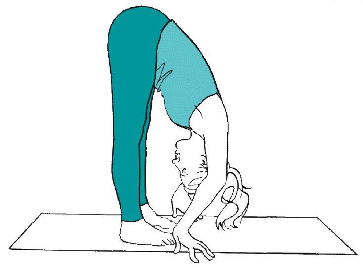 Как правильно делать наклоны вперед сидя - основы растяжки мышц