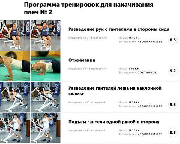 Что с чем качать в один день: комплекс упражнений, техника выполнения, результативность, отзывы - tony.ru